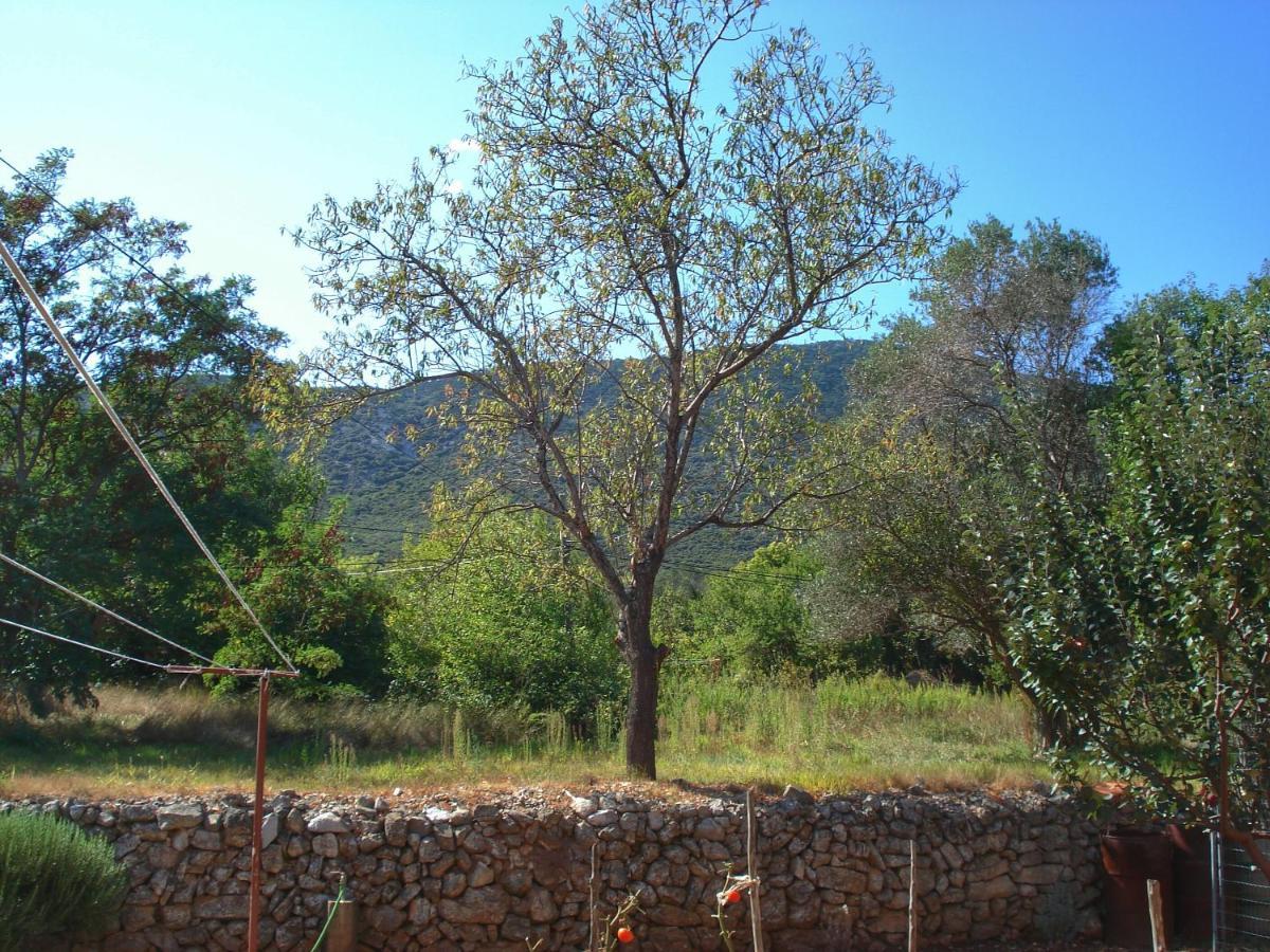 Sokolic