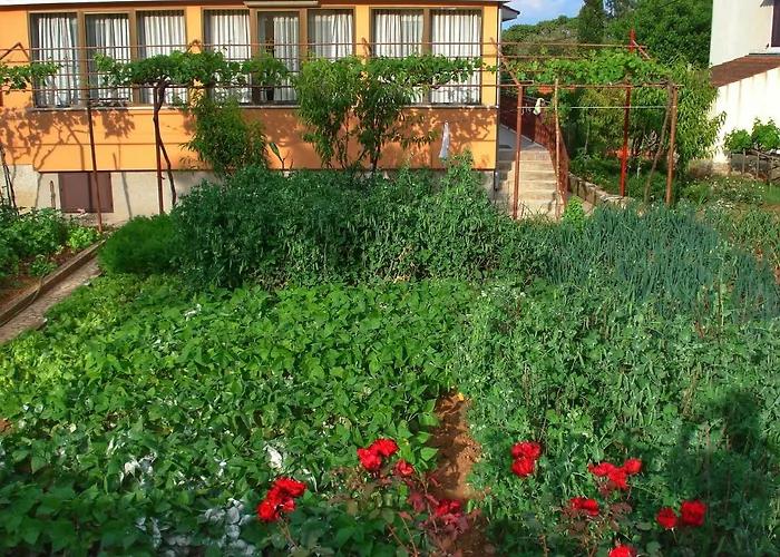 Apartments Sokolic